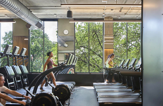 People exercising on treadmills and rowing machines in a gym with large windows and outdoor trees visible.