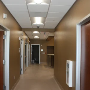 ER, Emergency Room, Hospital, Healthcare, Urgent Care, Healthy, Surgery